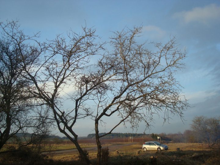 3-3-milieu-naturel-1 Aménagement des milieux naturels en Côte de Beaune