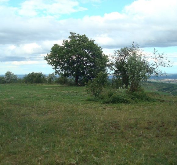 Aménagement des milieux naturels en Côte de Beaune