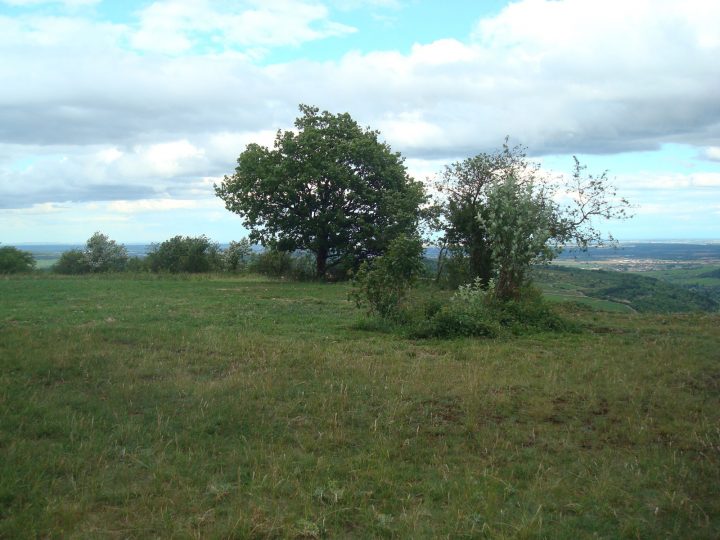 3-3-milieu-naturel-pelouses-seches-saint-romain-1 Aménagement des milieux naturels en Côte de Beaune