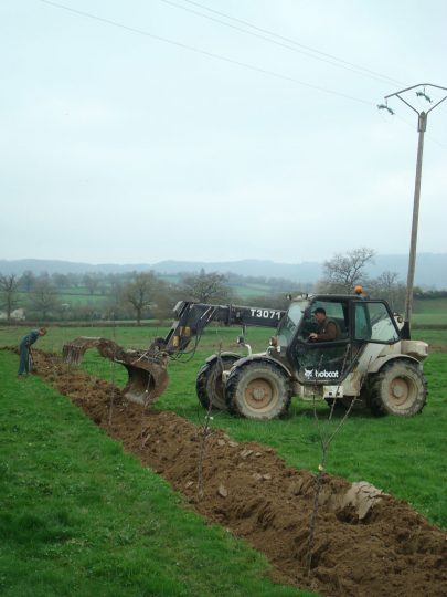 3-4-agroforesterie-3 Plantation de haies en Bresse