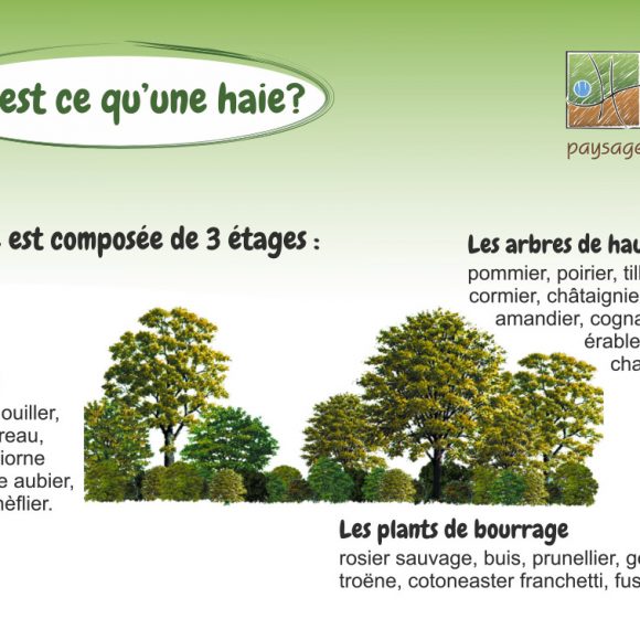 Qu&rsquo;est ce qu&rsquo;une haie ?